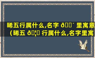 晞五行属什么,名字 🌴 里寓意（晞五 🦄 行属什么,名字里寓意是什么）